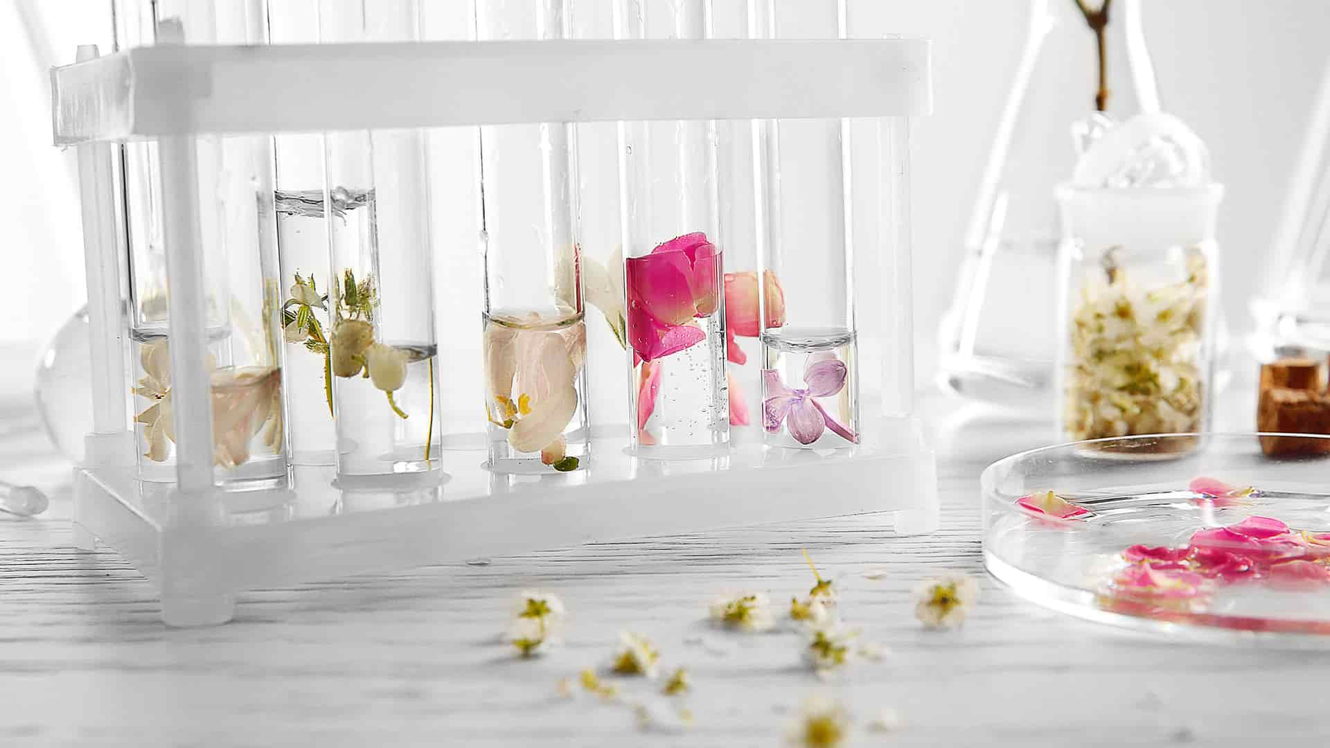 the secrets of long lasting air freshener 5 min